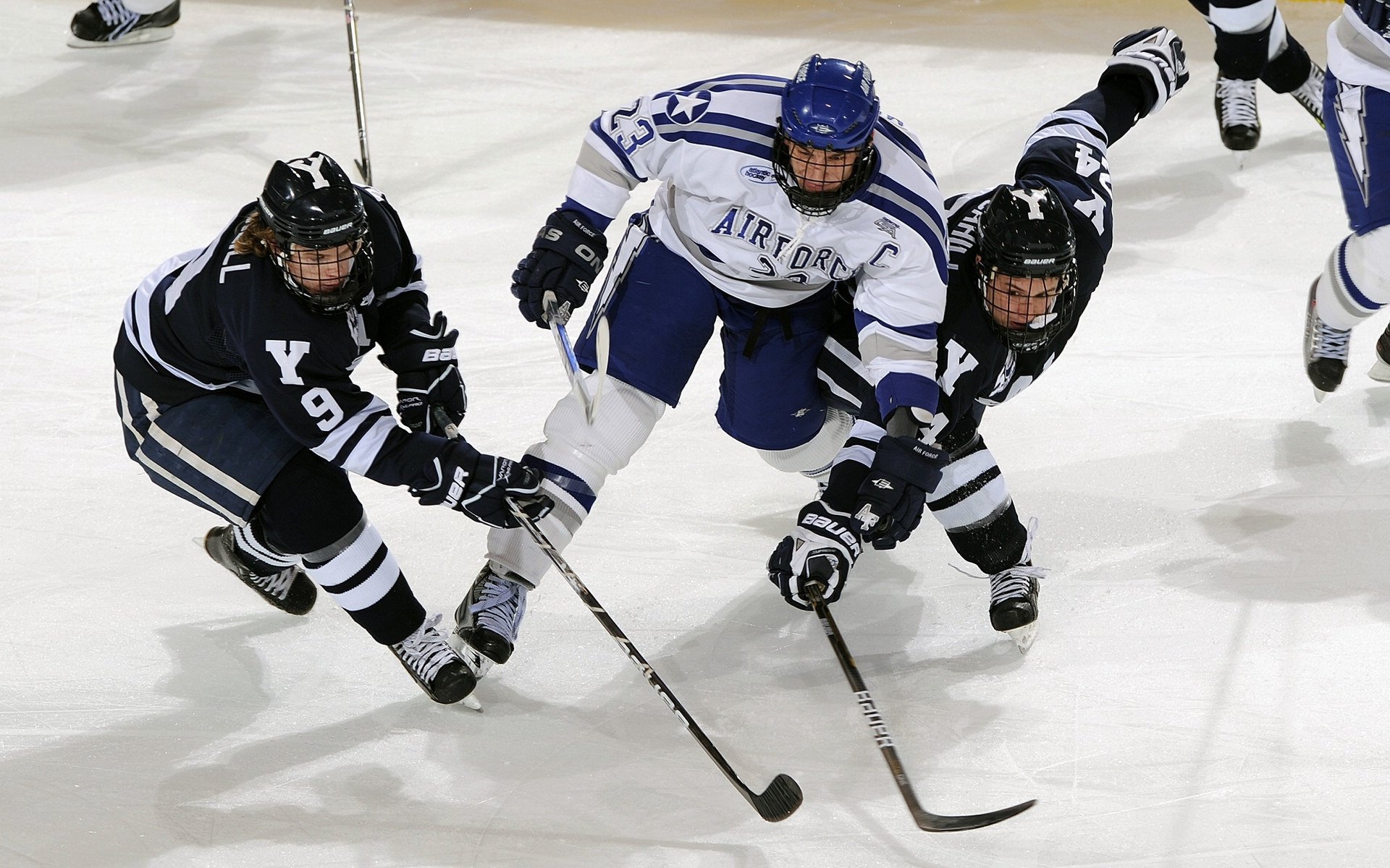 _生态自行车园:绿色出行与自然亲密接触_,生态园自助餐厅怎么样
